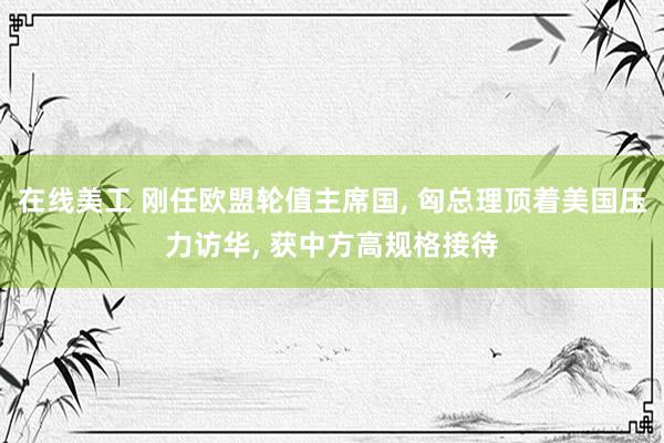 在线美工 刚任欧盟轮值主席国, 匈总理顶着美国压力访华, 获中方高规格接待